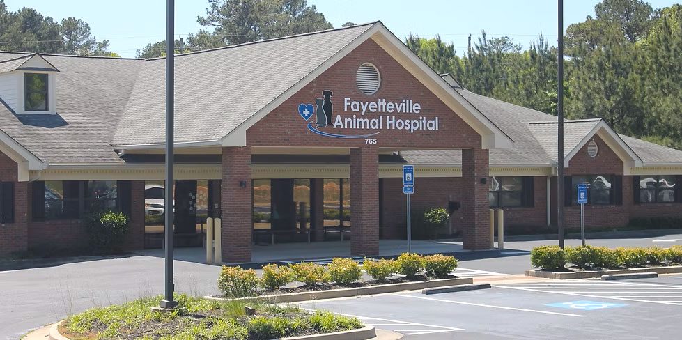 outside front of fayetteville animal hospital