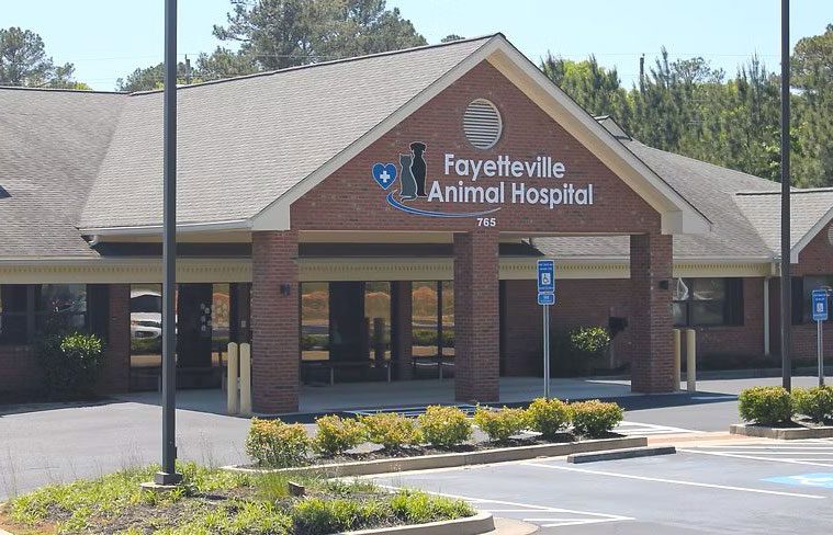 outside front of fayetteville animal hospital